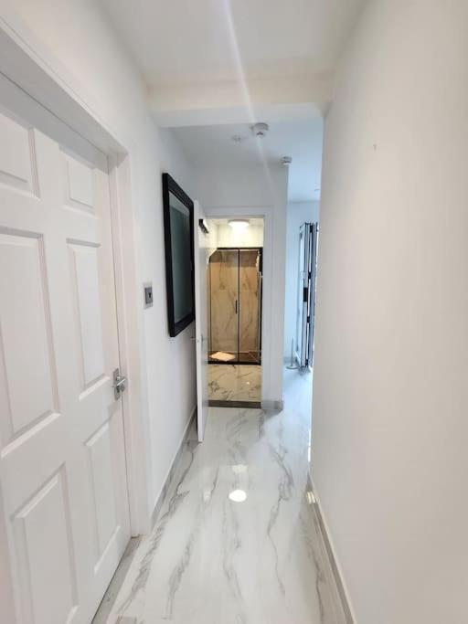 Spacious And Bright One Bedroom Apartment